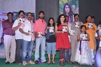 Panchami Audio Function